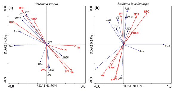 微信截图_20220613171145