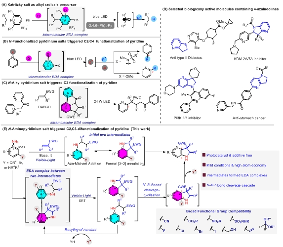 微信截图_20240117142027